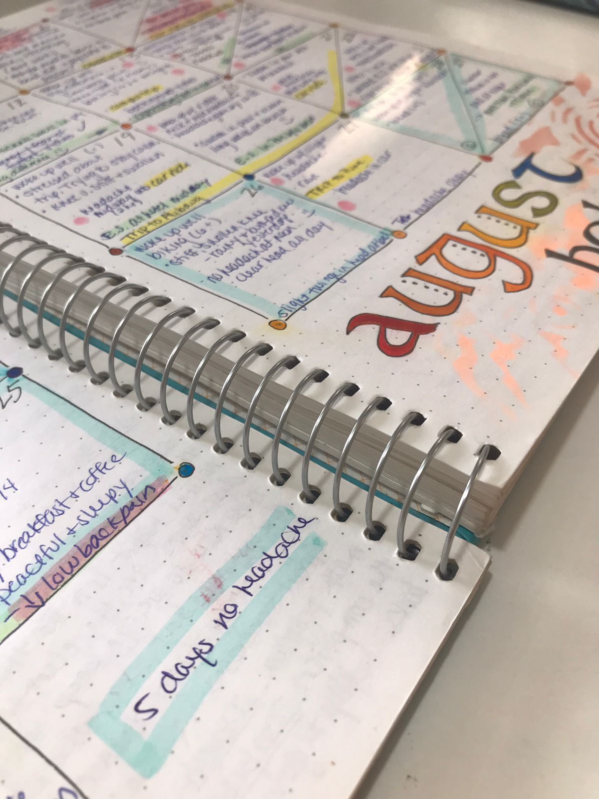 The Pain Journal Sarah P Jose